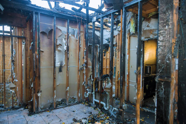 Professional Fire Damage Removal technician working in North Riverside, IL